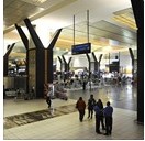 Spike in baggage tampering at SA’s biggest airport OR Tambo airport